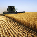 As 8 chaves para potencializar o mercado agrícola da América Latina